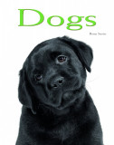 Dogs: Pocket Book | Rino Serio, White Star