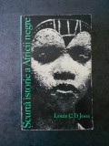 LOUIS C. D. JOOS - SCURTA ISTORIE A AFRICII NEGRE