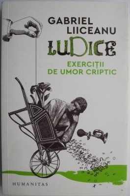 Ludice. Exercitii de umor criptic &amp;ndash; Gabriel Liiceanu foto