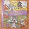 Tom si Jerry: O zi la curse. Harababura (Vol. 3)