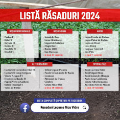 Rasad de rosii castraveti vinete ardei alte rasaduri legume 2024