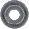 VICTOR REINZ 70-53678-00 Etansare, supape