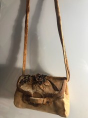 Geanta de iasca foto