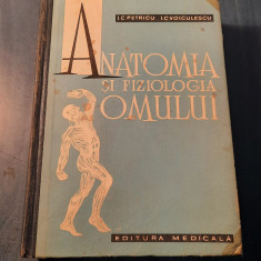 Anatomia si fiziologia omului I. C. Petricu Voiculescu