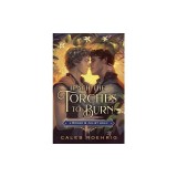 Teach the Torches to Burn: A Romeo &amp; Juliet Remix