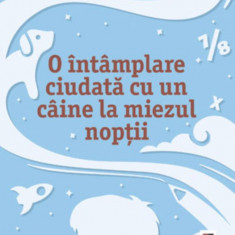 O întâmplare ciudată cu un câine la miezul nopţii