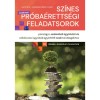 Sz&iacute;nes pr&oacute;ba&eacute;retts&eacute;gi feladatsorok p&eacute;nz&uuml;gyi-sz&aacute;mviteli &uuml;gyint&eacute;ző &eacute;s v&aacute;llalkoz&aacute;si &uuml;gyviteli &uuml;gyint&eacute;ző szakmai vizsg&aacute;khoz - 10 &iacute;r&aacute;sbeli-gyakorlati felad, 2024