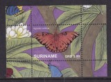 SURINAM 2020 FAUNA INSECTE FLUTURI