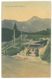 945 - POIANA TAPULUI, Busteni, Prahova, Romania - old postcard - used - 1911, Circulata, Printata