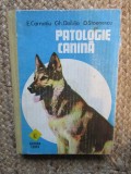 PATOLOGIE CANINA , E CARNATIU, GH DABIJA, D STOENESCU