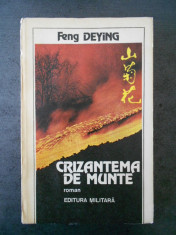 FENG DEYING - CRIZANTEMA DE MUNTE foto