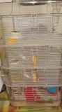 V&acirc;nd cușcă hamster cu 4 etaje