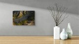 Tablou Canvas pe Tăr&acirc;mul Contradicțiilor Cromatice Naturale, 39 x 26 cm, CMCLASS