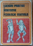 Lucrari practice de anatomie si fiziologie animala M. Stoica, I. Mihailescu - 1981