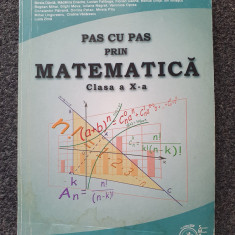 PAS CU PAS PRIN MATEMATICA CLASA A X-A - Constantinescu, Zirna