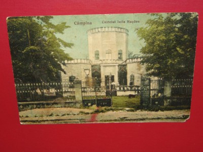 C.P.CAMPINA -CASTELUL IULIA HASDEU foto