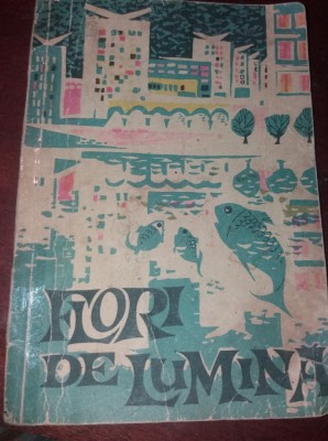 FLORI DE LUMINA foto