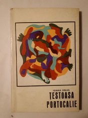 Ioana Orlea - Țestoasa portocalie (roman )