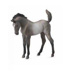 Mustang - Grulla manz