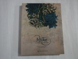 RILKE - CORNUL ABUNDENTEI - POEME IN TRANSPUNEREA LUI SERBAN FORTA
