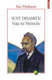 Sunt dinamita! Viata lui Nietzsche &ndash; Sue Prideaux