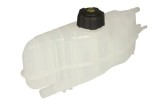 Vas de expansiune, racire RENAULT SC&Eacute;NIC II (JM0/1_) (2003 - 2010) THERMOTEC DB1006TT