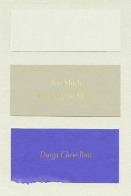 Too Much and Not the Mood: Essays foto