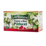 Ceai din frunze si flori de paducel, 20 plicuri, AdNatura