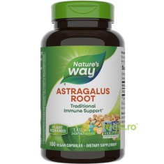 Astragalus Root 100cps Secom,