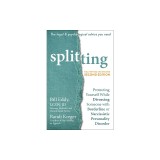 Splitting: Protecting Yourself While Divorcing Someone with Borderline or Narcissistic Personality Disorder