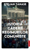 Istoria căderii regimurilor comuniste - Paperback brosat - Stelian Tănase - Cuantic