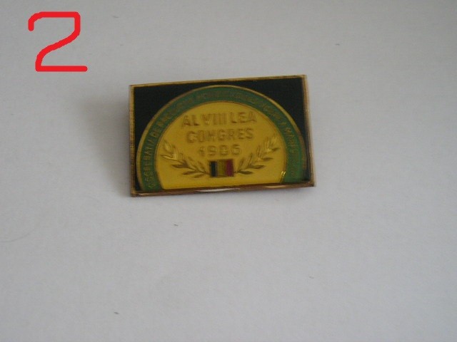 QW9 I 79 - Insigna - tematica comert - Congresul 8 al cooperativelor - 1986