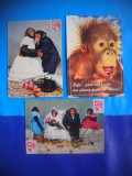 HOPCT LOT NR 1009 MAIMUTA / MAIMUTE -FAUNA -3 CARTI POSTALE-CIRCULATE, Circulata, Printata