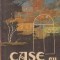 Case cu ferestre luminate
