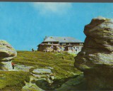 CPI B14814 - CARTE POSTALA - MUNTII BUCEGI. CABANA &quot;BABELE&quot;
