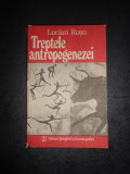LUCIAN ROSU - TREPTELE ANTROPOGENEZEI (1987, editie cartonata)