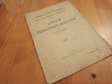 D. FECIORU, EPOCA FERICITULUI AUGUSTIN. PATRIARHIA ROM&Acirc;NĂ 1929