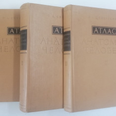 ATLAS DE ANATOMIE UMANA ( EDITIE IN LIMBA RUSA ) VOLUMELE I - III de R. D. SINELNIKOV , 1967 - 1974