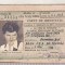 bnk div CFR - carte de identitate ptr 2 calatorii 50% reducere - cls II - 1949
