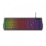 Tastatura Gaming HAVIT KB866L, RGB, 1.4m, Neagra Rosie, Universal