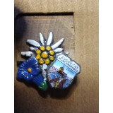 Insigne (4) Floare de Colt