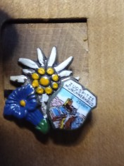 Insigne (4) Floare de Colt