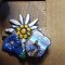 Insigne (4) Floare de Colt