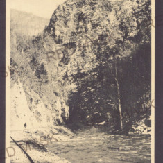 617 - POIENARI, Arges, railway & TEPES Tower - old postcard, CENSOR - used 1918