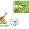 MOLDOVA 2001, FDC, Fauna