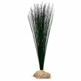Plantă artificială TETRA Hairgrass L 35 cm