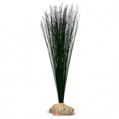 Plantă artificială TETRA Hairgrass L 35 cm