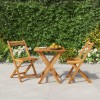 VidaXL Set de bistro pliabil, 3 piese, lemn masiv de acacia 319703