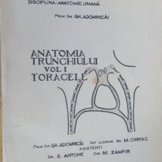 Anatomia trunchiului Toracele-Gh. Adomnicai