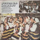Disc vinil, LP. NUNTA LA ROMANI NR.5 MARAMURES. SET 2 DISCURI VINIL-ORCHESTRA ANSAMBLULUI MARAMURES DIN BAI-247991, Electrecord